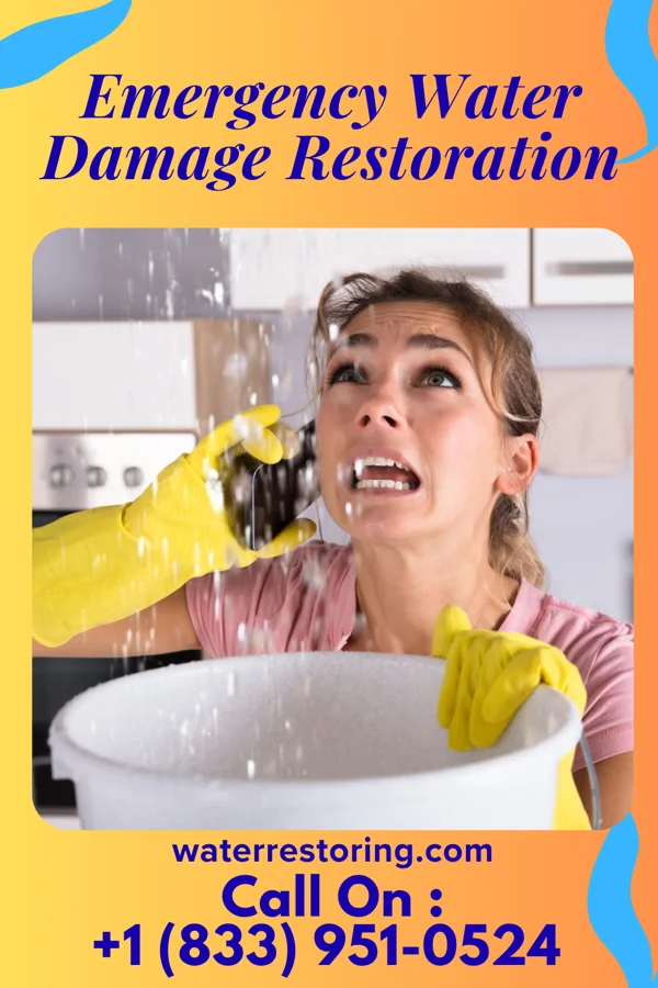 Emergency Water Damage Restoration in Keene, KY