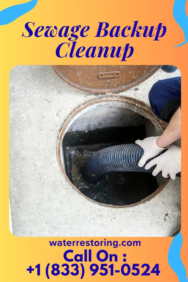 Sewage Backup Cleanup in Keene, KY